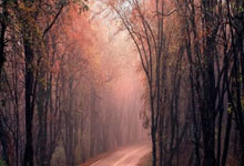 玛丽与安娜入选挪威女足国家队