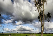 尤文图斯胜券在握：拜仁慕尼黑再次告负