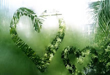 热闹场面！国内足球职业联赛赛事热火朝天