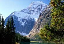 帕尔玛中场表现不佳，或将面临换帅危机