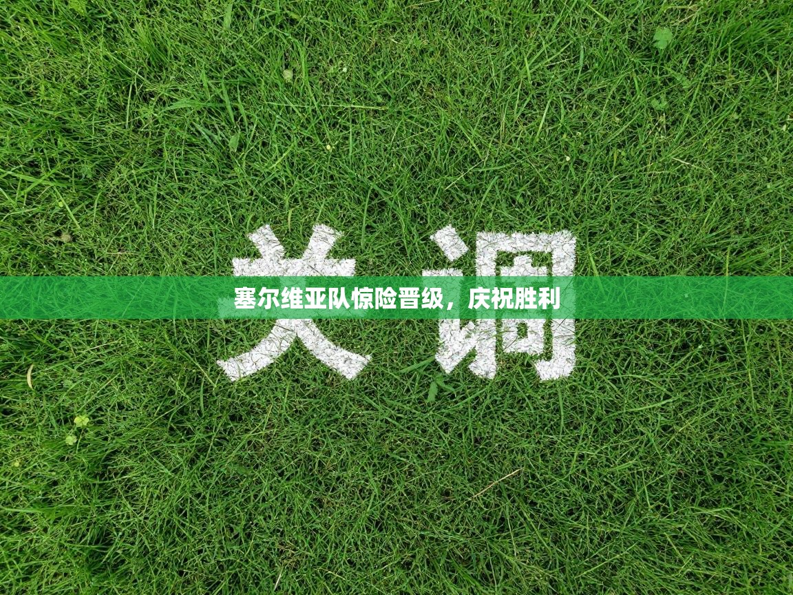 塞尔维亚队惊险晋级,庆祝胜利 第2张