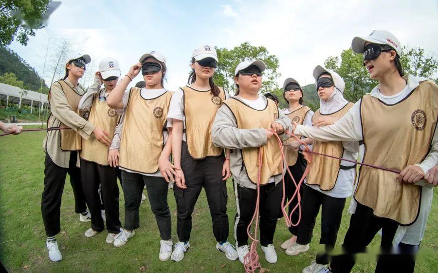 关于力帆翔儿贵宾登车板发开童趣团建活动的信息